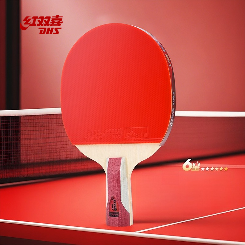 Table Tennis Champion - Raquette de tennis de table DHS