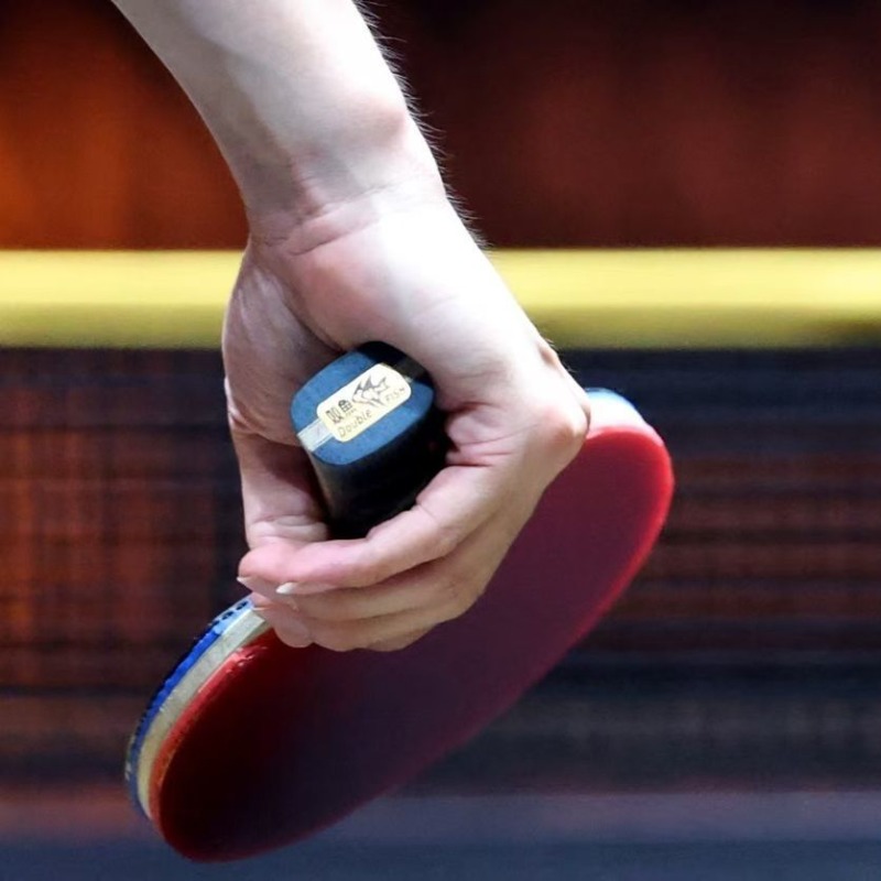 Plaque inférieure de Tennis de - Table Tennis Zhou Qihao avis et prix