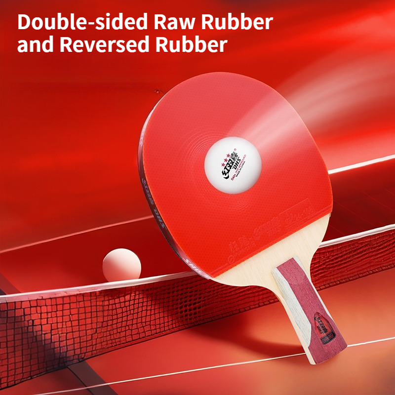 Raquette de tennis de table DH - Table Tennis Champion avis et prix