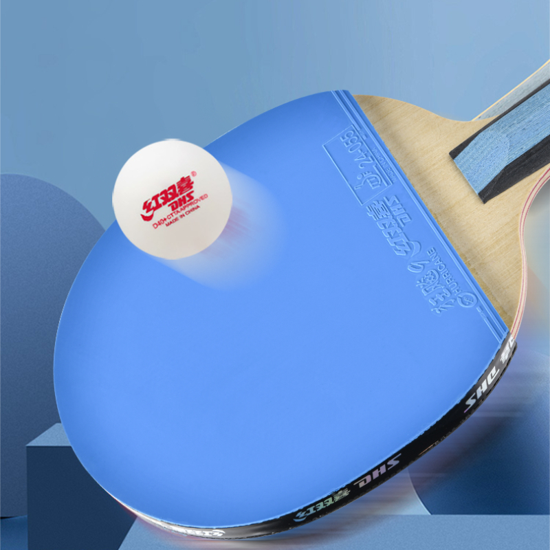 Raquette de Tennis de Table DH - Table Tennis Champion avis et prix