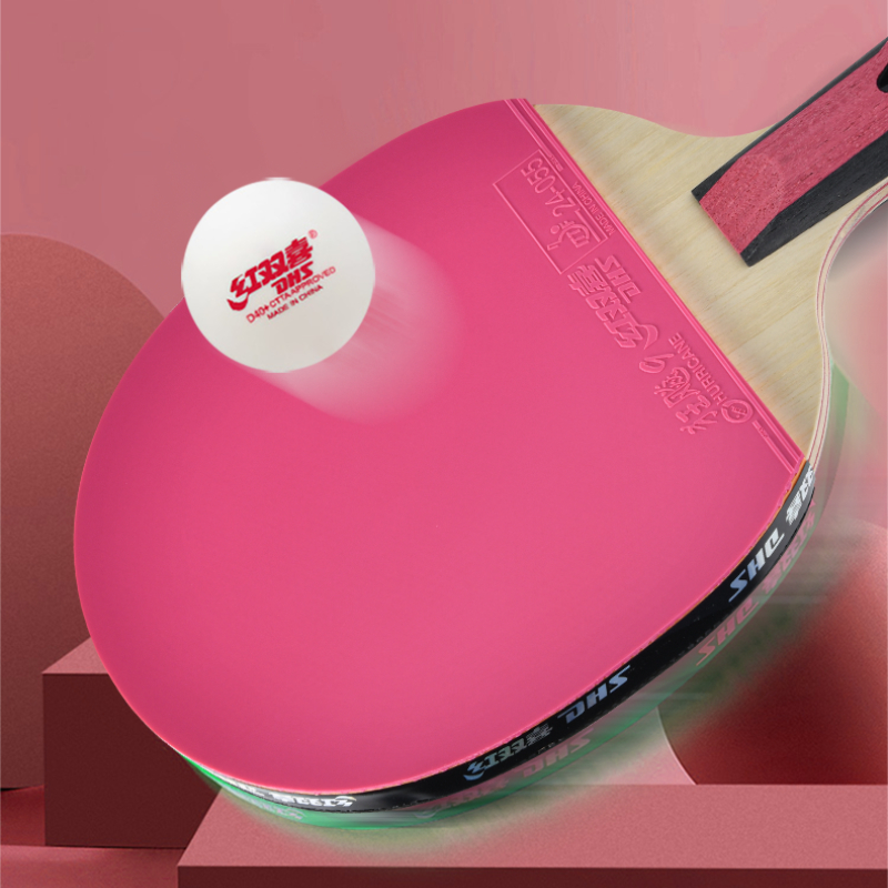 DHS 6 étoiles raquette de Tenn - Table Tennis Champion avis et prix